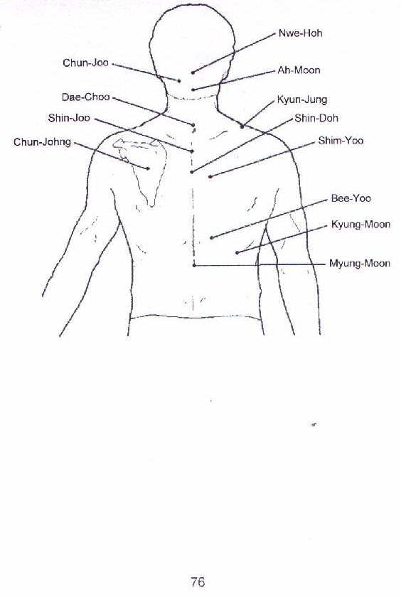 pressure point diagram ppct pressure points diagram human nervous system diagram pressure point diagram ppct pressure points diagram human nervous system diagram