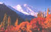 hunza5.jpg (28963 bytes)