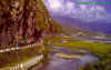 mangorah.jpg (75792 bytes)
