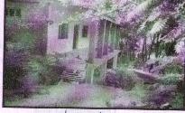 school1.JPG (7921 bytes)