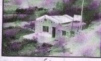 school3.JPG (7402 bytes)