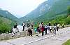 Field trip on Cerna Valley -- at the dam lake
