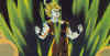 goku14.jpg (122084 bytes)