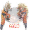 gokupic.jpg (62115 bytes)