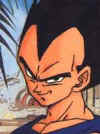 vegeta2.jpg (6428 bytes)