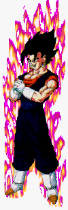 vegetto.gif (31090 bytes)
