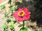 thumbs/img_6569.jpg
