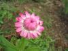 thumbs/168_6898.jpg