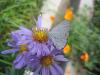 thumbs/170_7099.jpg