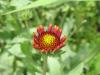 thumbs/171_7112.jpg