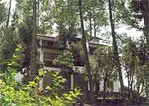 Kasaar Jungle Resort