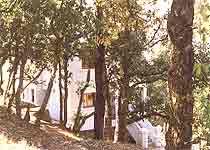 Kasaar Jungle Resort