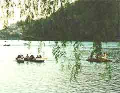 Nainital
