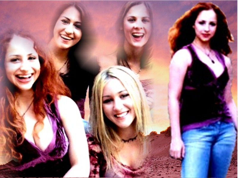 Holly backgrounds