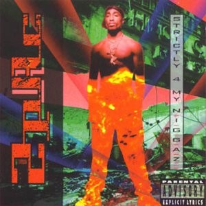 Strictly For My N.G.G.A.Z (1992)