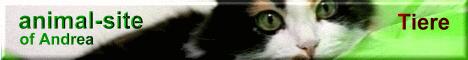 Black Cat Award