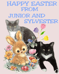 Junior and Sylverster