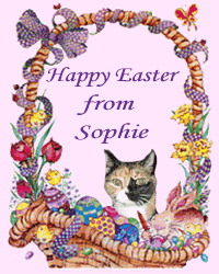 Sophie