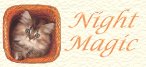 Night Magic