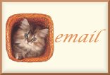 Meow Mail