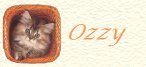 Ladyluck's Ozzy