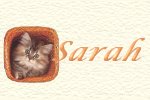 Granddaughter Sarah