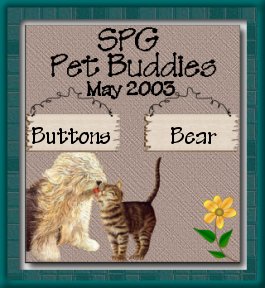 Buddy page