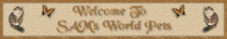 Gold Award