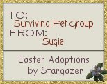 Stargazer Adoptions