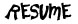 Word document view