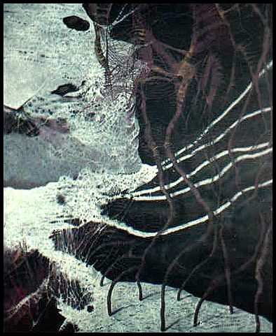 2992_19.jpg (55857 bytes)