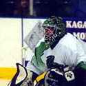 Mike Shields