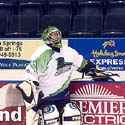 Mike Shields