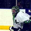 Mike Shields