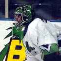 Mike Shields