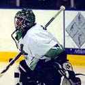 Mike Shields