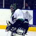Mike Shields