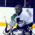 Mike Shields