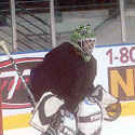 Mike Shields