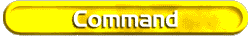 Command Support Staff