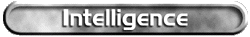 Intelligence Support Staff