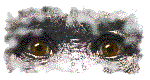 ejemplo de gif a 256 colores