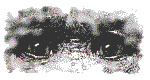 ejemplo de gif a 8 colores