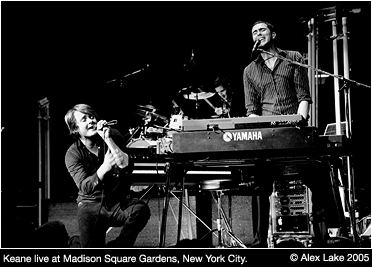 wystep w msg msg