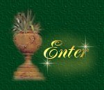 Enter
