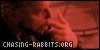Chasing Rabbits
