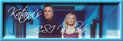 Katana's CSI Website
