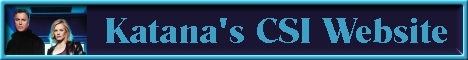 Katana's CSI site banner