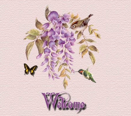 welcome