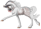 CVR Freckles--Paint mare